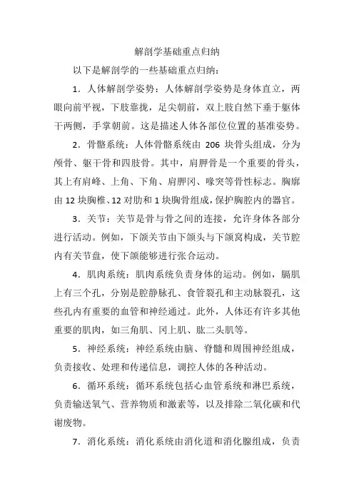解剖学基础重点归纳