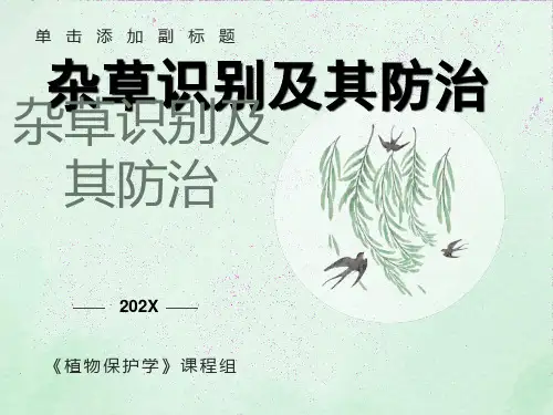 杂草识别与防除PPT