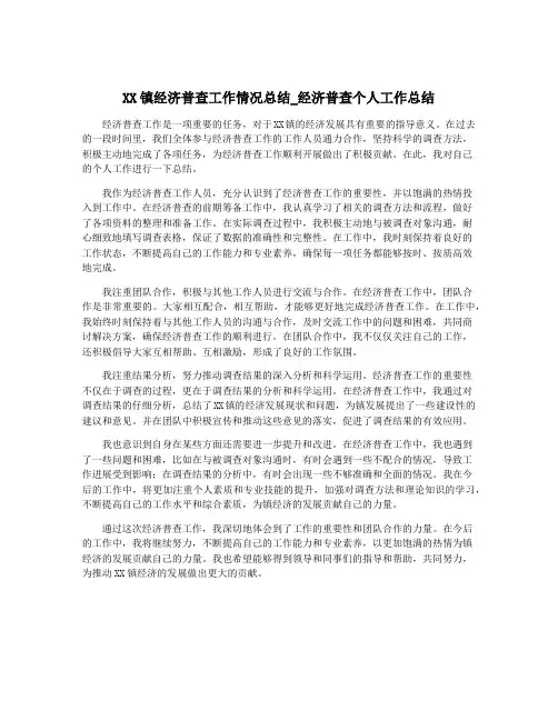 XX镇经济普查工作情况总结_经济普查个人工作总结