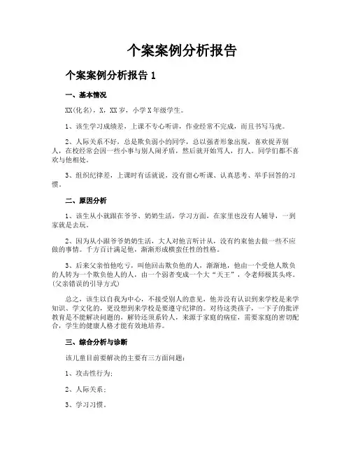 个案案例分析报告