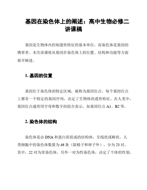 基因在染色体上的阐述：高中生物必修二讲课稿