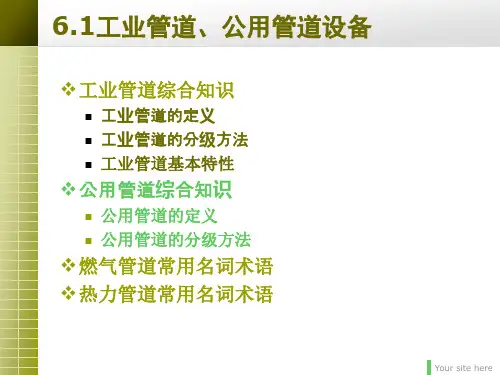 XXXX压力管道检验员取证培训课件课本第六章
