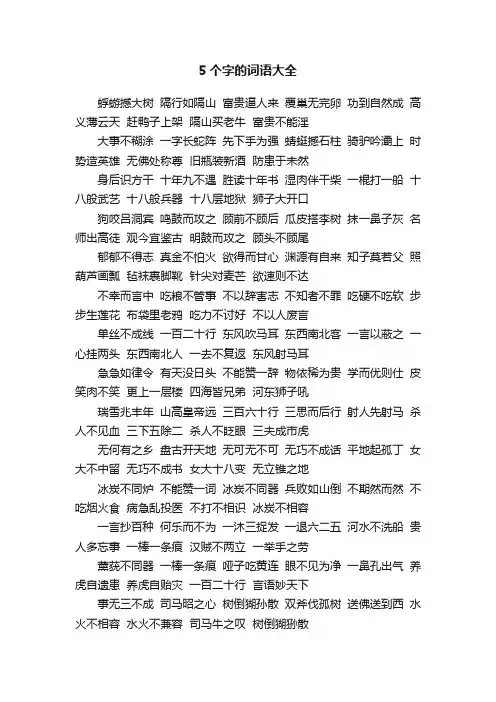 5个字的词语大全