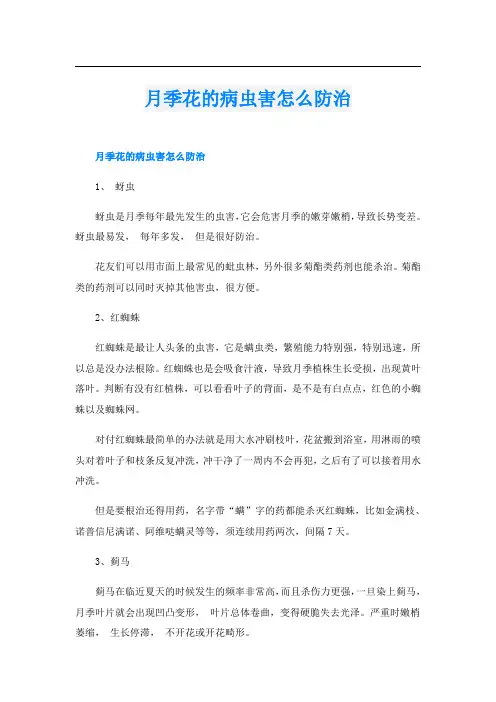 月季花的病虫害怎么防治