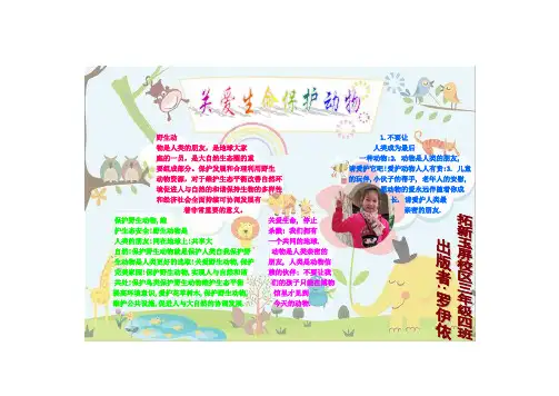 电子报  关爱生命保护动物