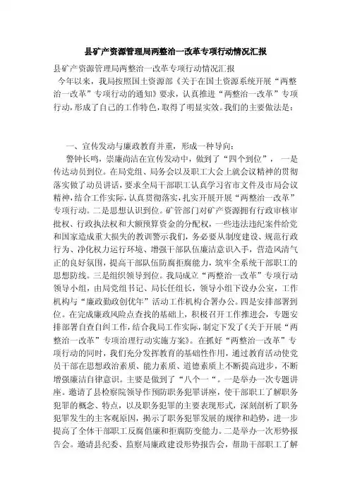 县矿产资源管理局两整治一改革专项行动情况汇报（范本）