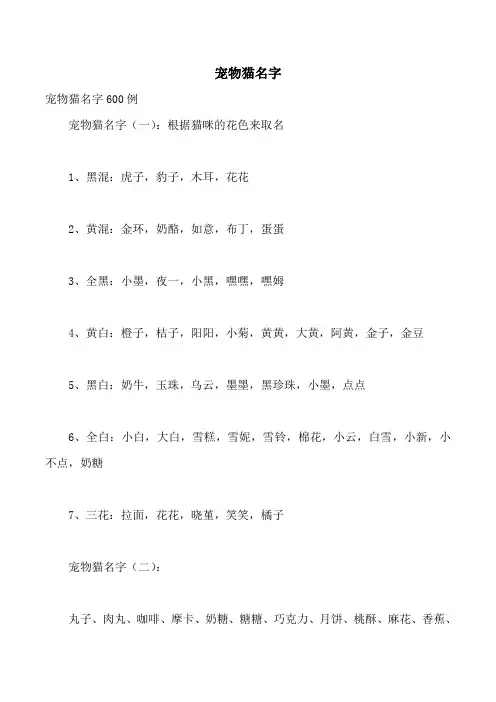 宠物猫名字
