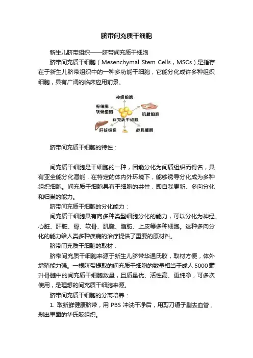 脐带间充质干细胞