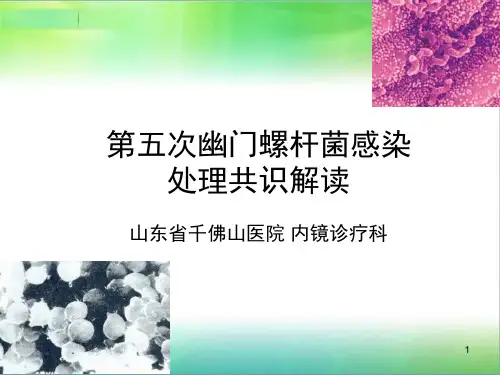 第五次幽门螺杆菌感染处理共识解读PPT课件