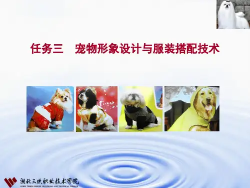 宠物美容与护理四特殊美容 3