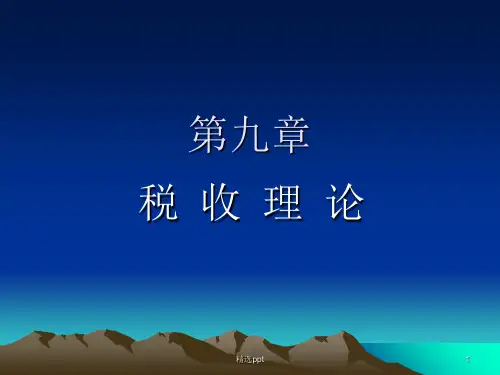 《税收理论》PPT课件 (2)