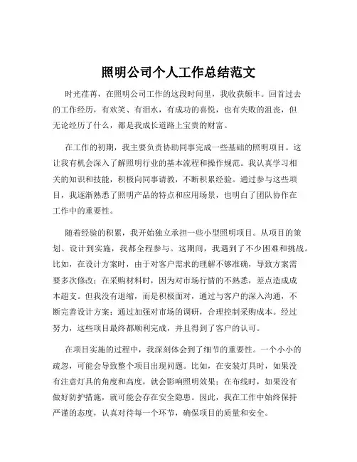 照明公司个人工作总结范文