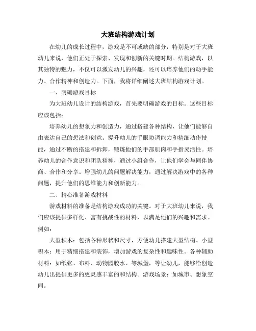 大班结构游戏计划 (2)