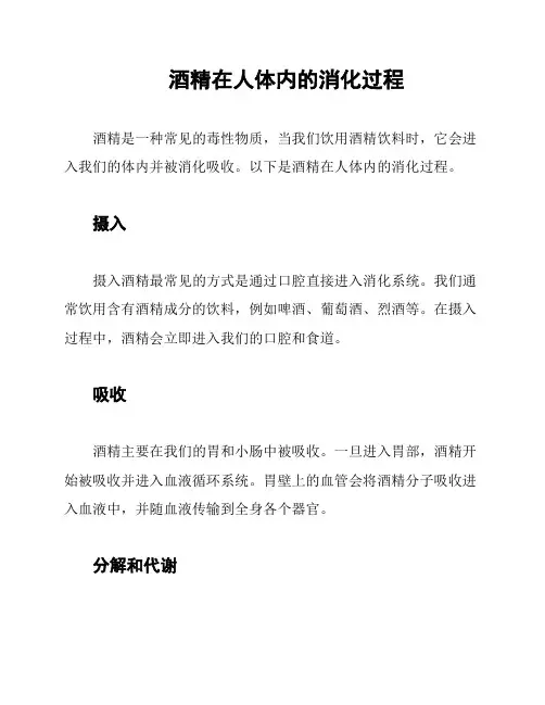 酒精在人体内的消化过程