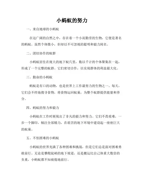 小蚂蚁的努力
