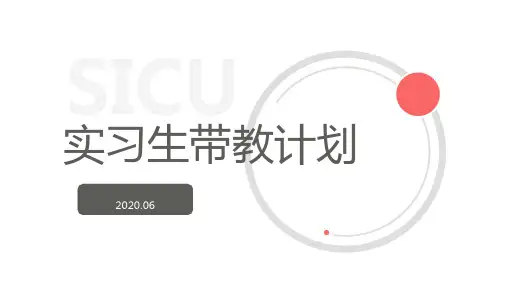 实习生带教计划