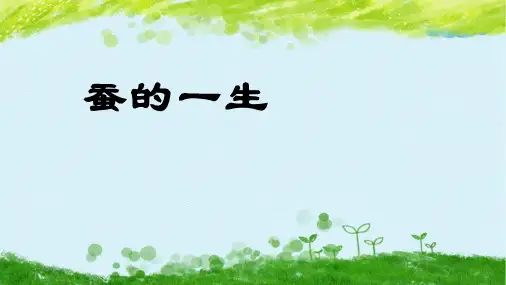 教科版 三年级科学下册 蚕的一生 (课件)