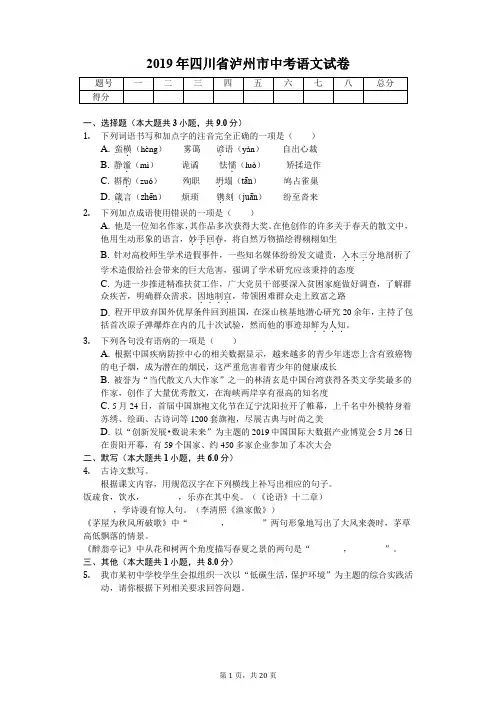 2019年四川省泸州市中考语文试卷含答案解析