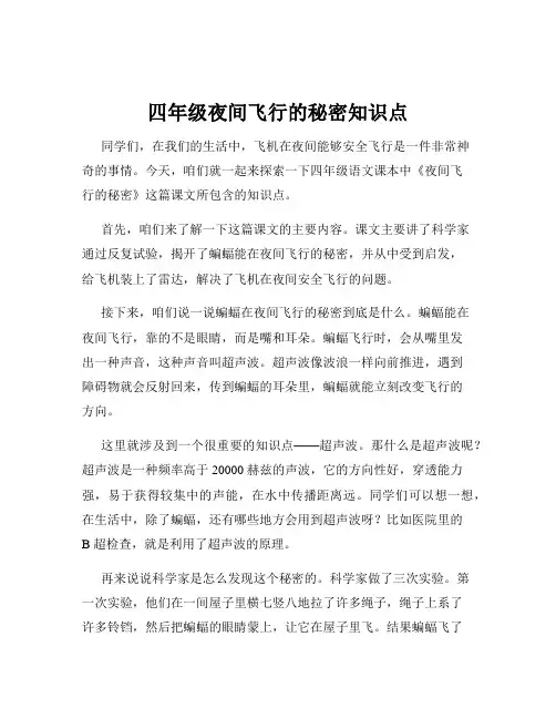 四年级夜间飞行的秘密知识点