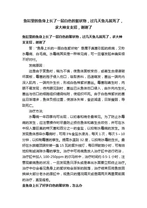 鱼缸里的鱼身上长了一层白色的絮状物，过几天鱼儿就死了，求大神支支招，谢谢了