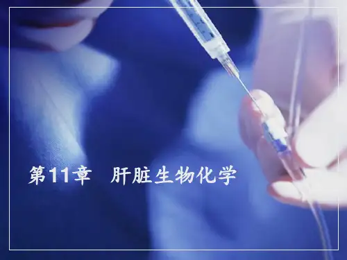 中职生物化学课件第11-12章