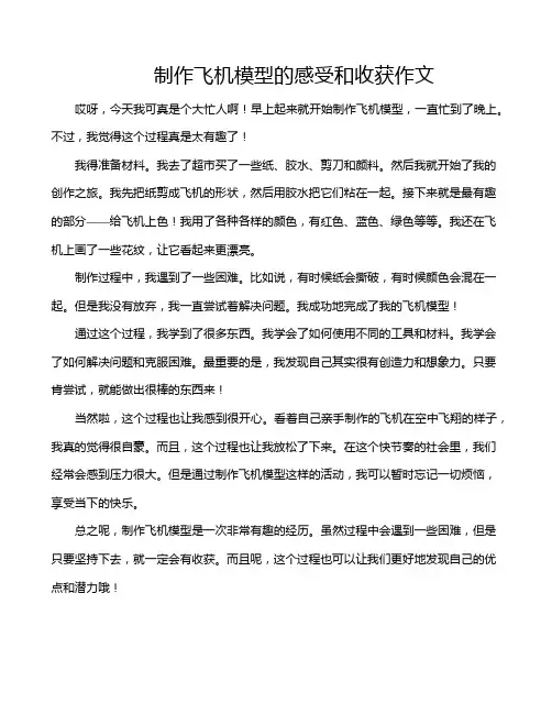 制作飞机模型的感受和收获作文