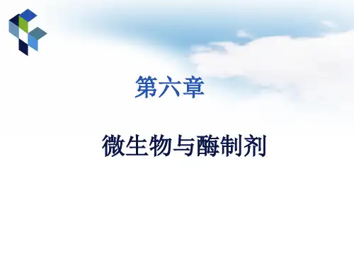 第六章 微生物与酶制剂