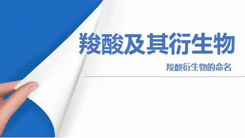 羧酸衍生物命名-PPT课件