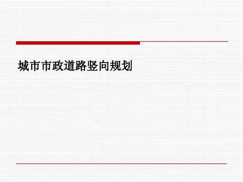 城市市政道路竖向规划(全面)