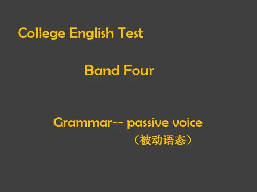 2017年CET-4语法被动语态