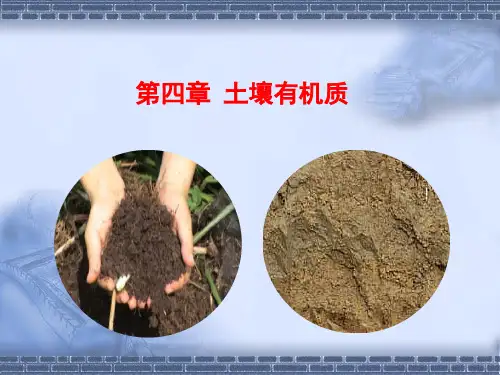 第四章 土壤有机质