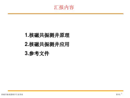 核磁共振成像测井专家讲座