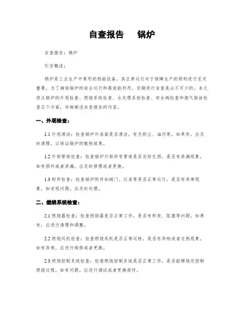 自查报告   锅炉