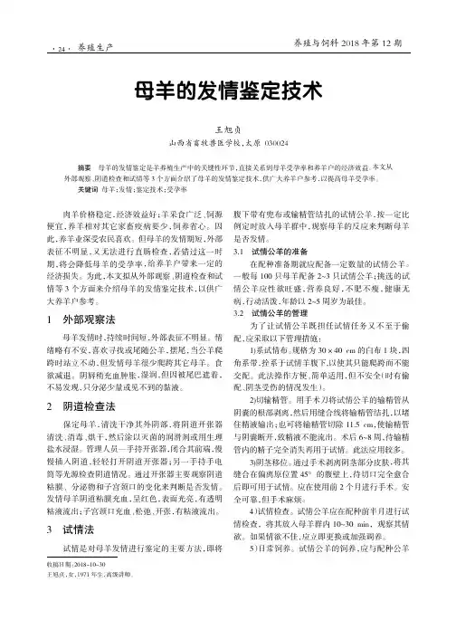 母羊的发情鉴定技术