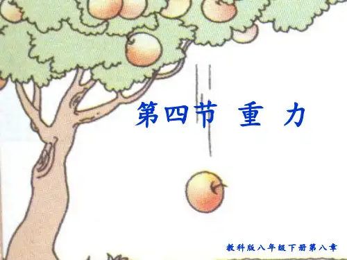 《重力》说课 ppt课件