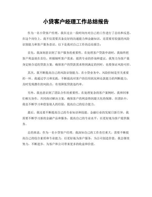 小贷客户经理工作总结报告