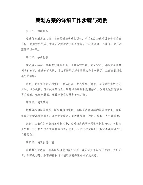 策划方案的详细工作步骤与范例
