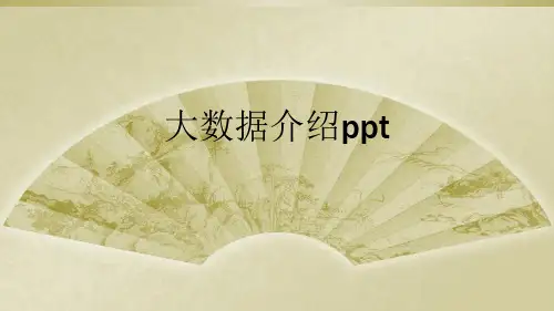 大数据介绍ppt