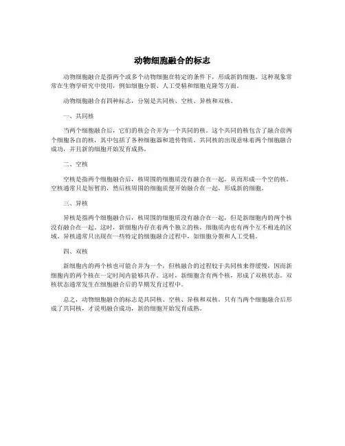 动物细胞融合的标志