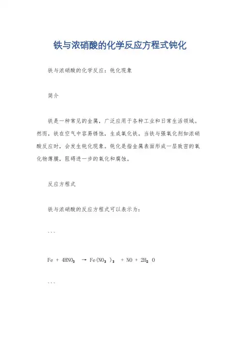 铁与浓硝酸的化学反应方程式钝化