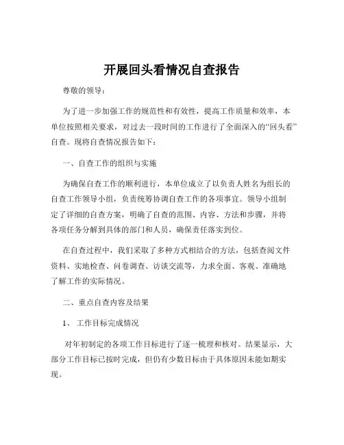 开展回头看情况自查报告