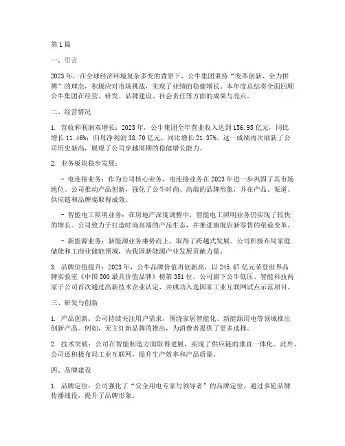 公牛集团年度总结(3篇)