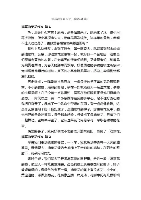 描写油菜花作文（精选51篇）