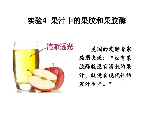 浙科版高中生物选修一2.4《实验4：果汁中的果胶和果胶酶》优质课件(12张)