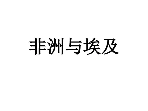 世界区域地理  非洲和埃及 南非