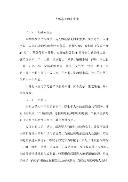 人体常见的寄生虫