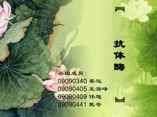 抗体酶