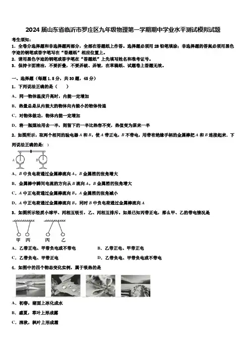 2024届山东省临沂市罗庄区九年级物理第一学期期中学业水平测试模拟试题含解析