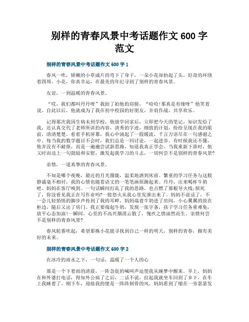 别样的青春风景中考话题作文600字范文