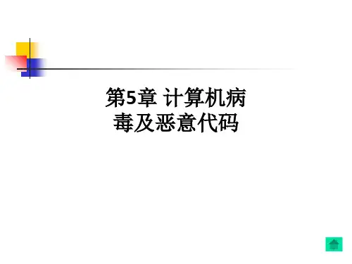 第5章 计算机病毒及恶意代码ppt课件